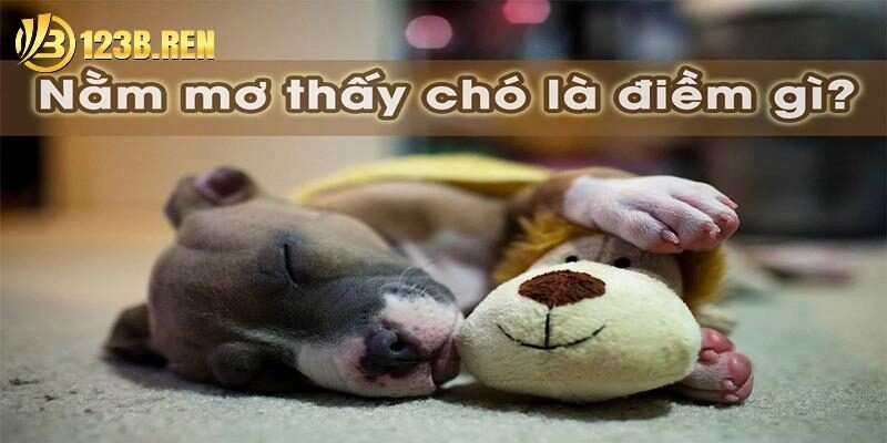 Mách bạn cặp số may mắn theo từng hình ảnh giấc mơ