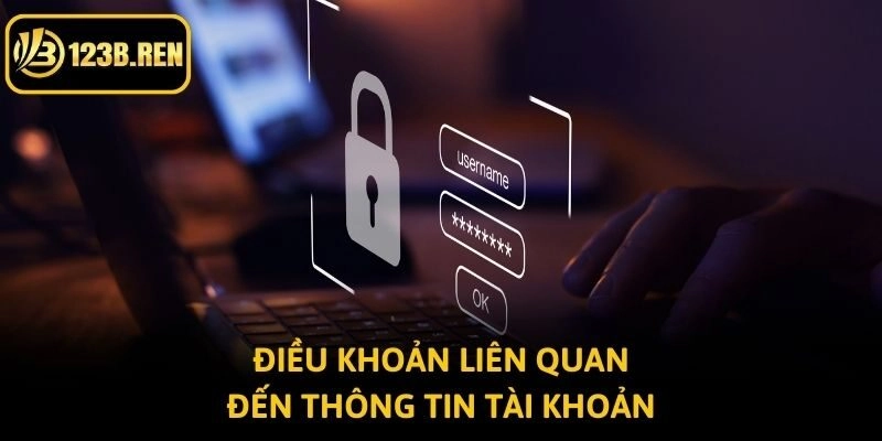 Điều khoản liên quan đến thông tin tài khoản
